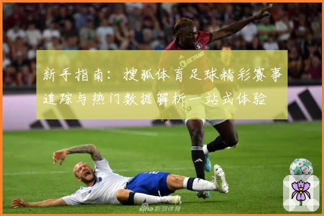 新手指南：搜狐体育足球精彩赛事追踪与热门数据解析一站式体验