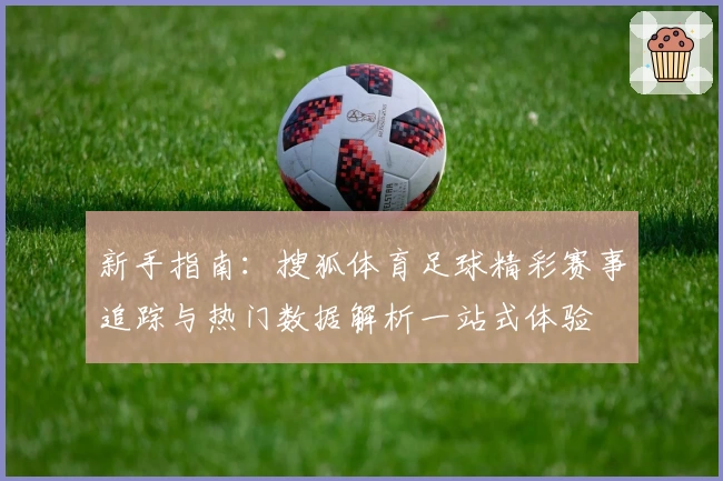新手指南：搜狐体育足球精彩赛事追踪与热门数据解析一站式体验