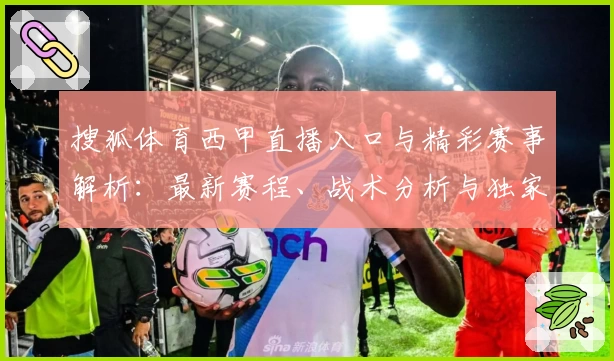 搜狐体育西甲直播入口与精彩赛事解析：最新赛程、战术分析与独家赛事动态一览