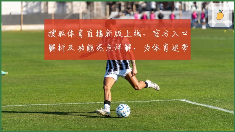 搜狐体育直播新版上线，官方入口解析及功能亮点详解，为体育迷带来极致观赛体验