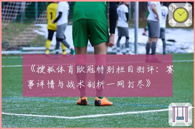 《搜狐体育欧冠特别栏目测评：赛事详情与战术剖析一网打尽》