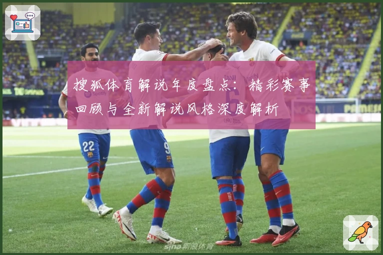 搜狐体育解说年度盘点：精彩赛事回顾与全新解说风格深度解析