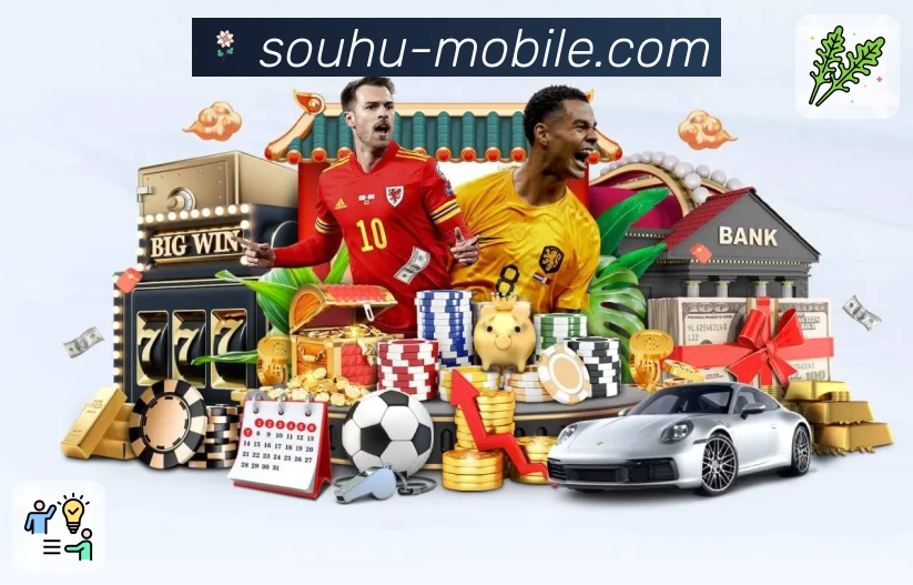 搜狐体育App预览